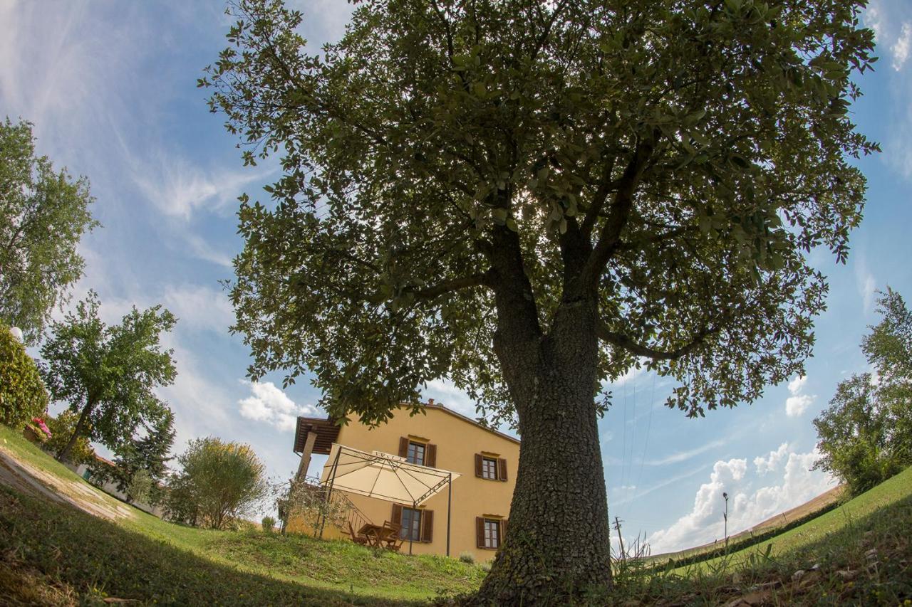 Agriturismo San Giuseppe Volterra Dış mekan fotoğraf